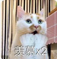 又双叒叕分手了！