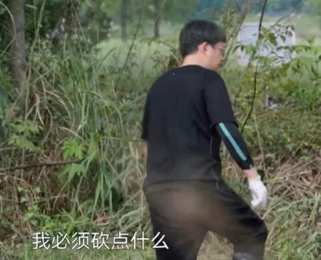 追星就追星，别动不动给人当精神父母