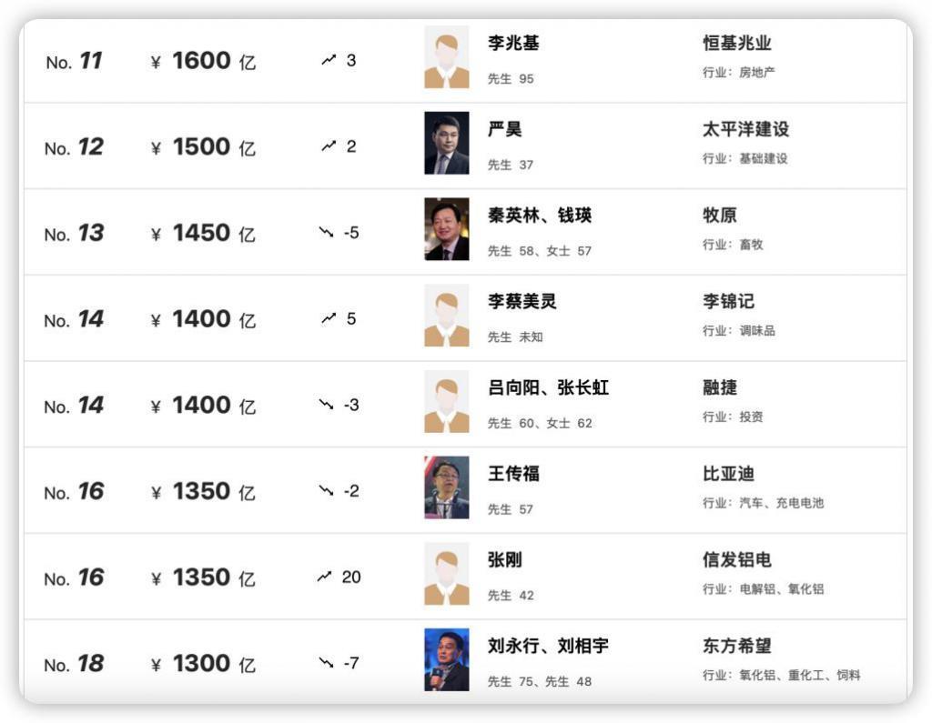 吕向阳，比亚迪难再寻