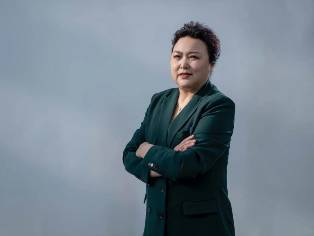 何小鹏，惊心动魄的一年