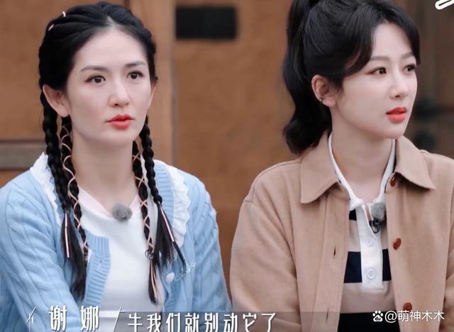 杨紫综艺上线暴露状态，下巴变尖，网友吐槽医美后遗症