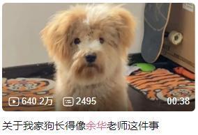 余华变成这样一点也不好笑