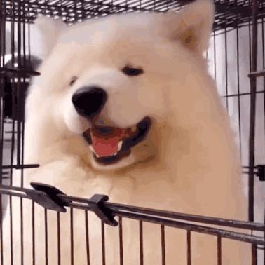 这手机，真能弯！