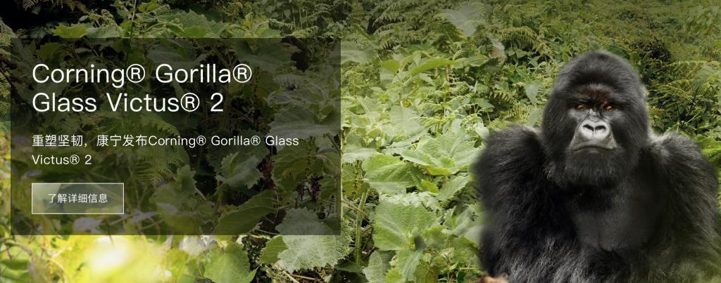 小米疯了,狂卷玻璃!