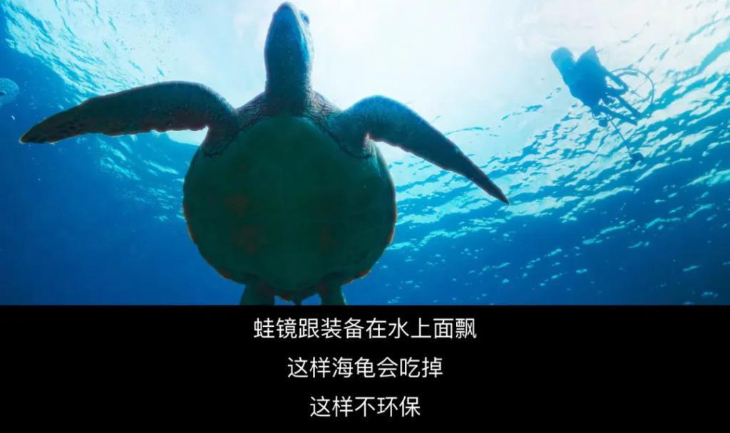可怜他？别圣母心泛滥了