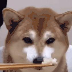怎么，“不扫码”连饭都不让吃了？