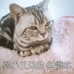 怎么，“不扫码”连饭都不让吃了？