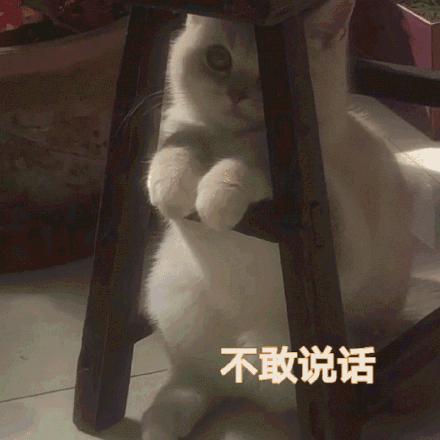 怎么，“不扫码”连饭都不让吃了？