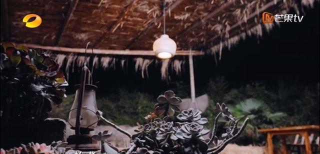 《美好生活》杨紫放言要邀请所有已合作男主