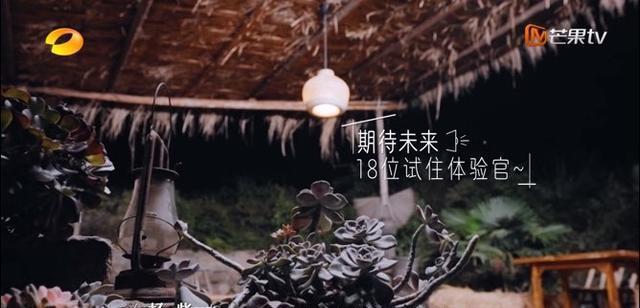 《美好生活》杨紫放言要邀请所有已合作男主