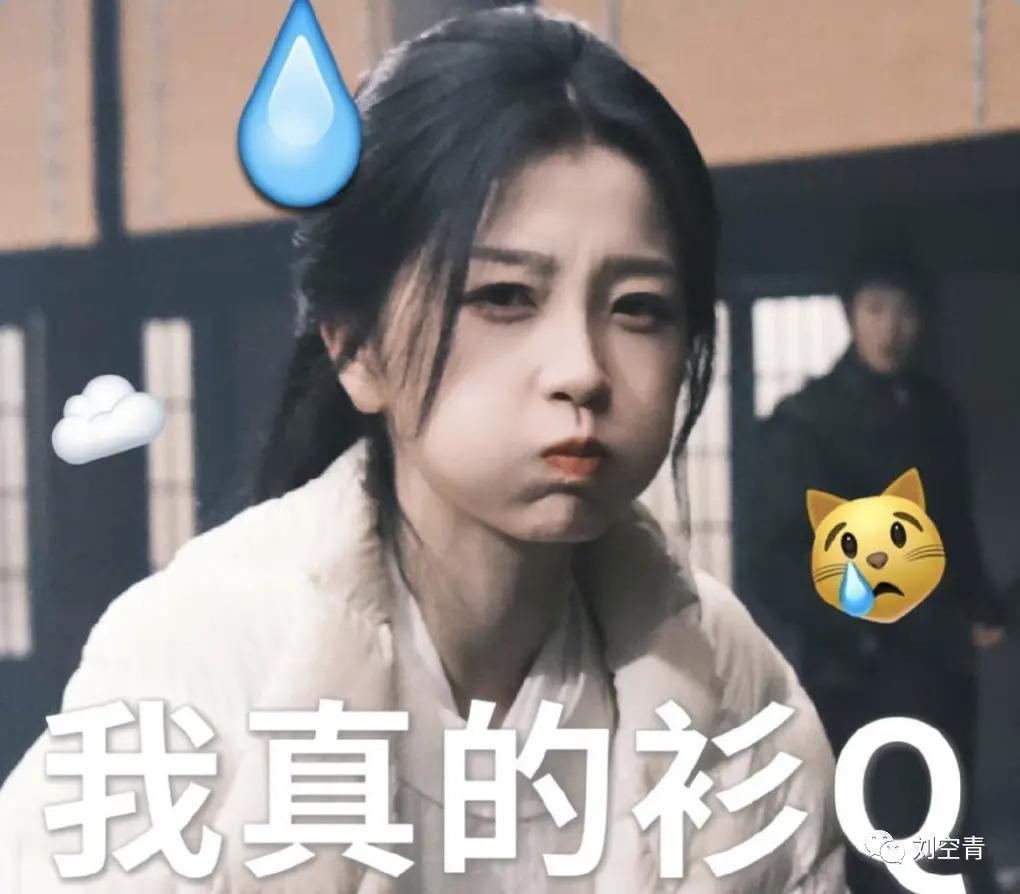 全世界都在害她?这瓜真的很奇葩……