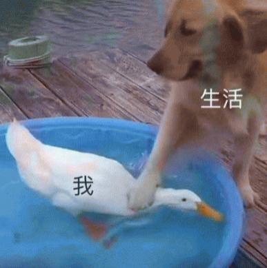 三菱退出了中国，但国产车会永远记得它的好。