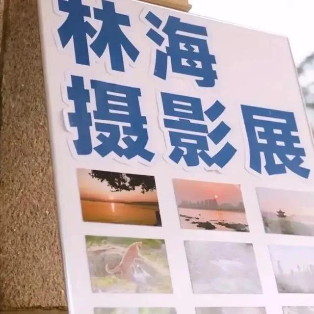 明明同一人，演完《正阳门下》10年后演《问心》，差点没认出