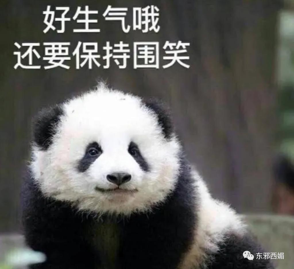 群演到女主，资源喂嘴里，接班人捧成对家，为毛还没红？