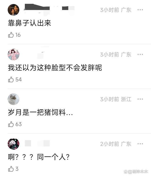 “童战”杨俊毅退圈13年后成国家级裁判，曾和陈法蓉相恋4年