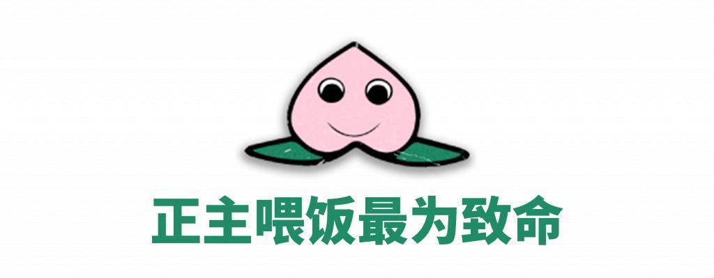 这剧活该火，营销领先20年