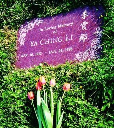 又一位大花冲出来了？