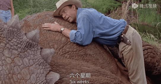 贵圈接连翻车，这才是今年第一大瓜