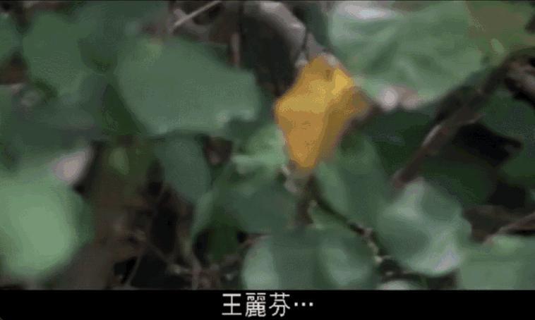 刚出道， 她的演技就秒杀内娱小花
