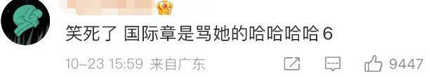 离婚,女明星的渡劫重生?