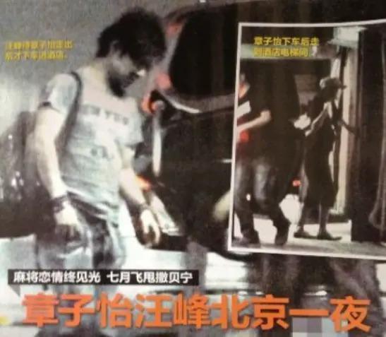 离婚,女明星的渡劫重生?