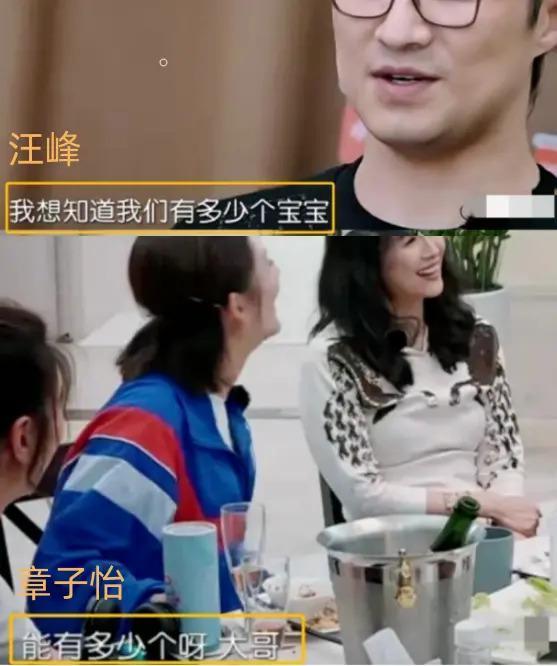 离婚,女明星的渡劫重生?