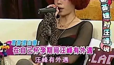 离婚,女明星的渡劫重生?