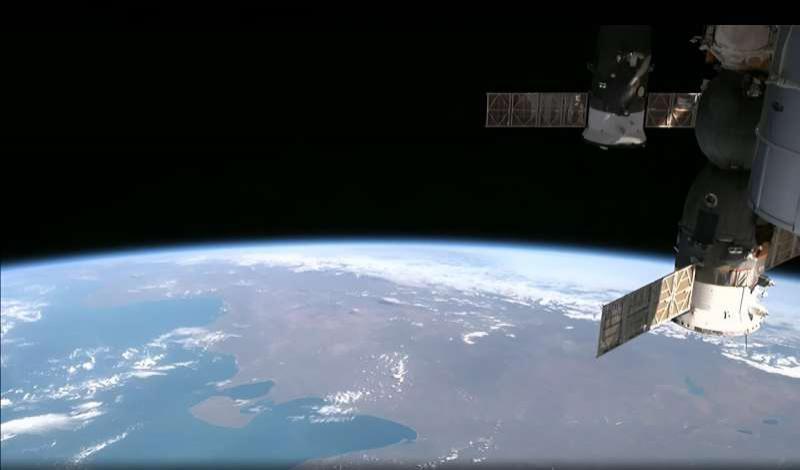 日本研究团队首次在太空中培养出小鼠囊胚