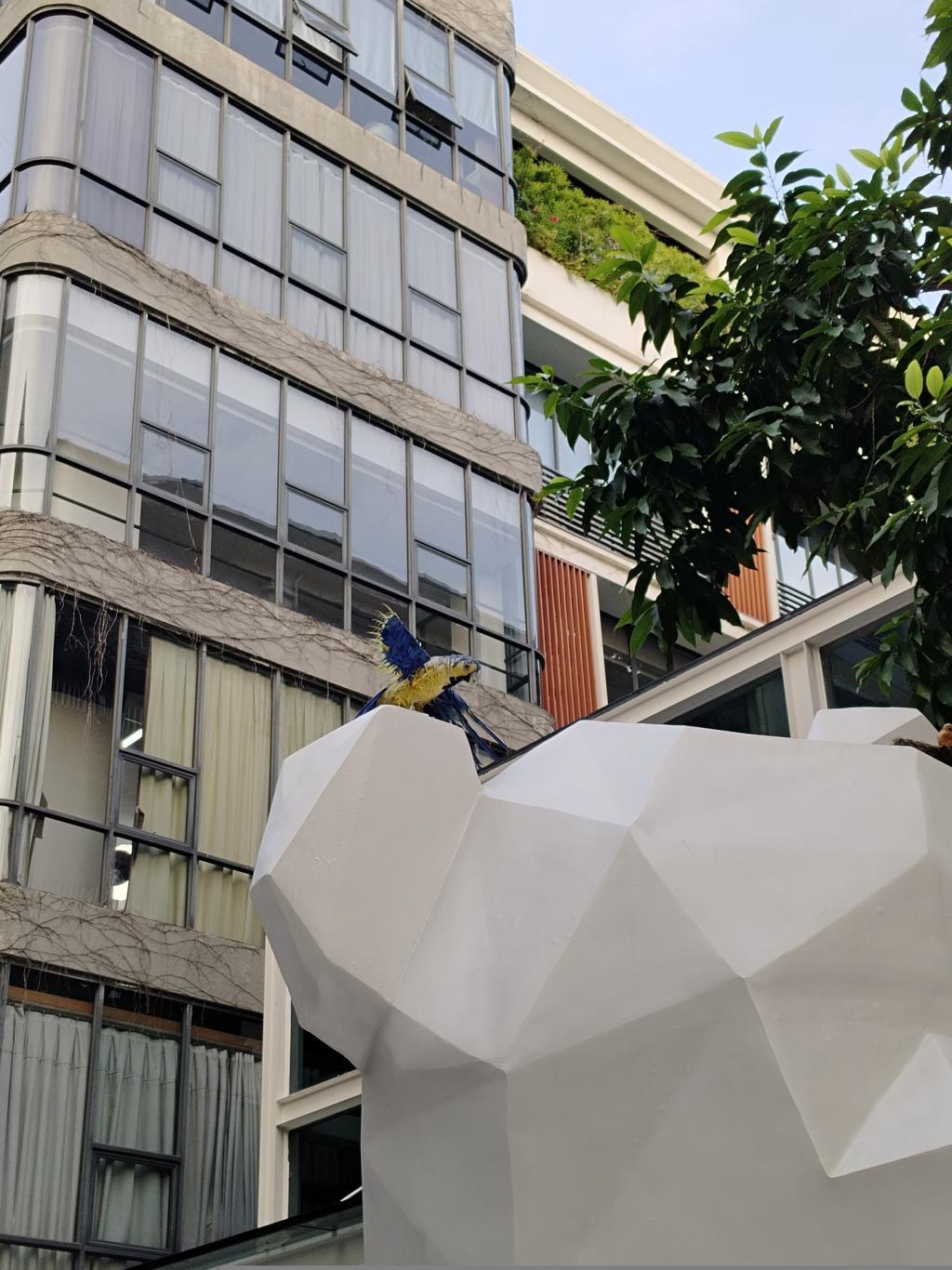 vivo Y100上手：千元机价位上的越级之作