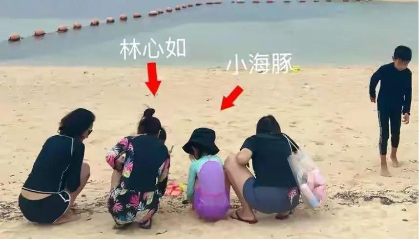 怪谁？是她自己找骂…