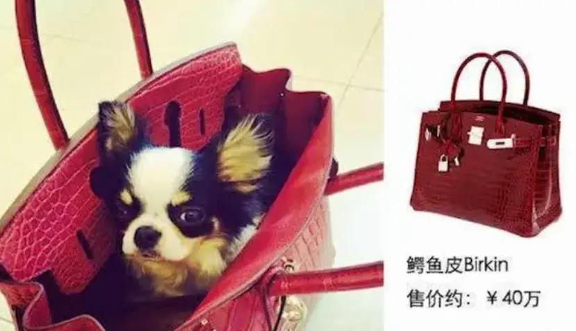 怪谁？是她自己找骂…