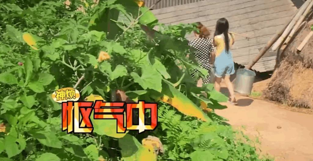 啊！国民甜妹被骗婚，吃猪食，大嫂全曝光了…
