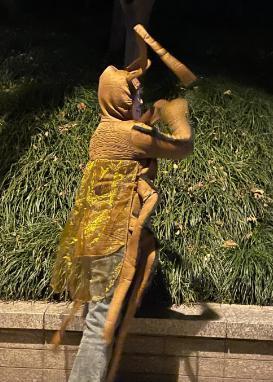 不是吧，爽子复出 ?