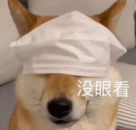 你会花8000买迪士尼玩偶吗？