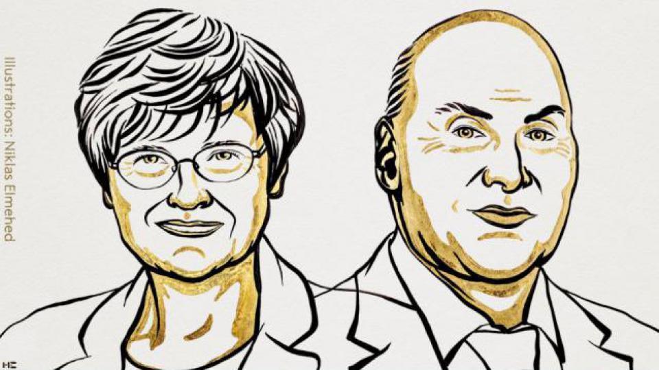 刚刚，2023年诺贝尔生理学或医学奖揭晓！