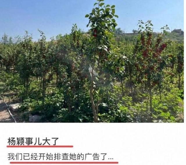 baby被封杀，这回真凉了？