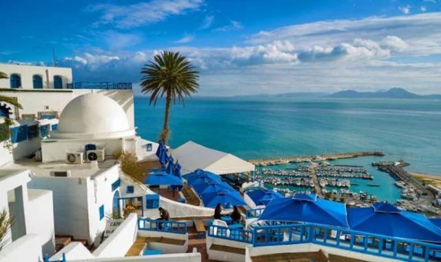 突尼斯恢复对中国游客免签