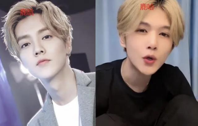 还记得模仿鹿晗的鹿哈吗？直播赚了3500万？