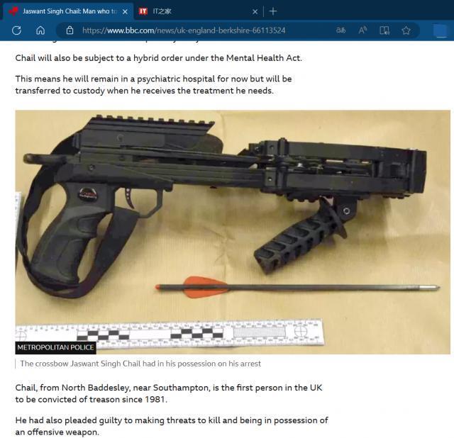 男子在 AI 女友怂恿下意图刺杀英国女王，被判入狱九年