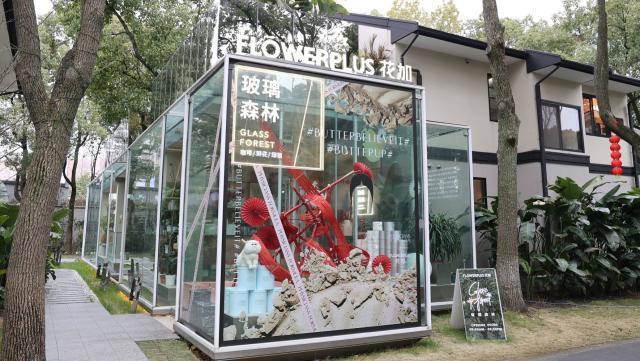 一家鲜花电商，凋零在秋天里