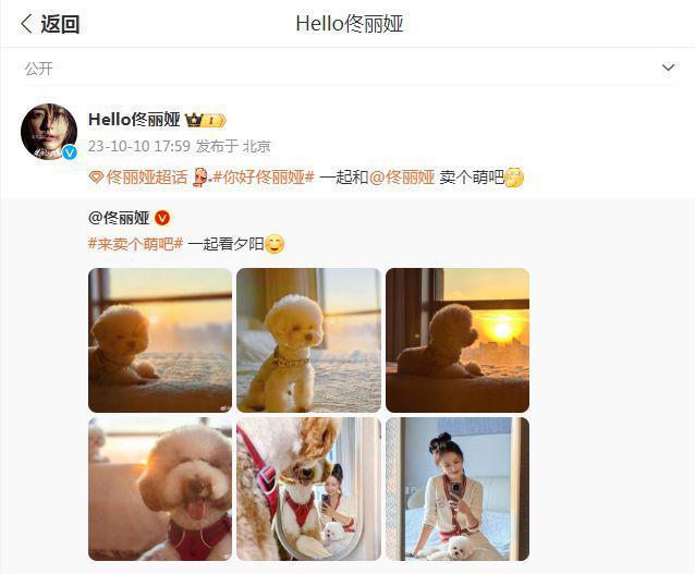 佟丽娅分享自拍照甜笑，与狗狗互动被赞人美心善