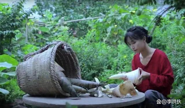 李子柒到底有多牛？停更一年每月仍有10多万美元进账