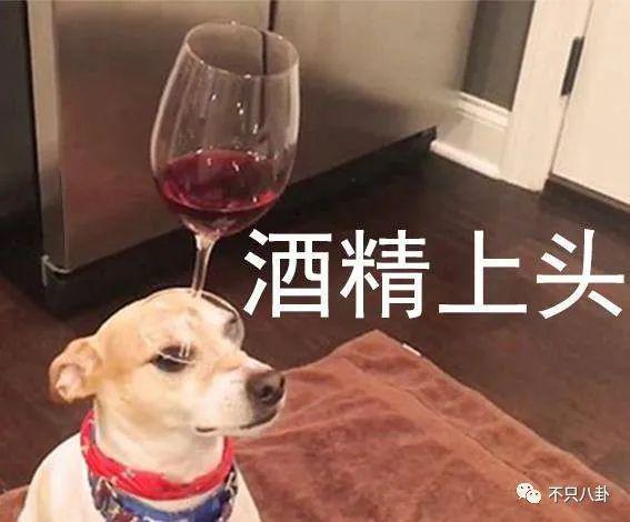 单方面复婚？他到底是恋爱脑还是装糊涂啊？