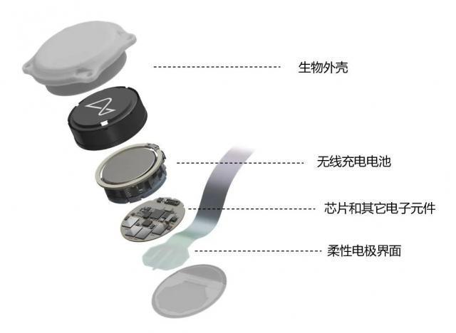 脑机接口，离治抑郁、瘫痪很近，离数字永生很远