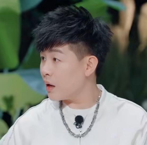 胡彦斌的好嘴，救了他的脸