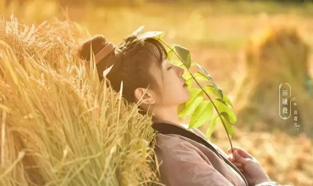 国剧“种田”，网文过年