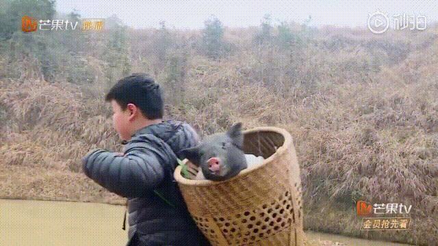 杜华比王一博更配金鸡奖