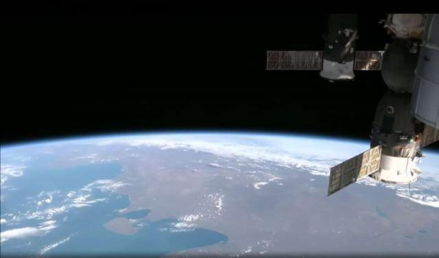 日本研究团队首次在太空中培养出小鼠囊胚