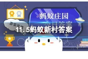蚂蚁新村传统棋类运动 11.5蚂蚁新村答案