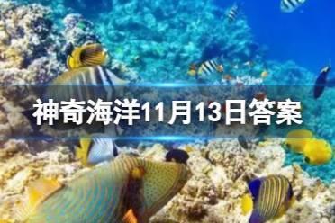砗磲和寄居蟹哪种属于节肢动物 蚂蚁森林神奇海洋今日答案11.13最新